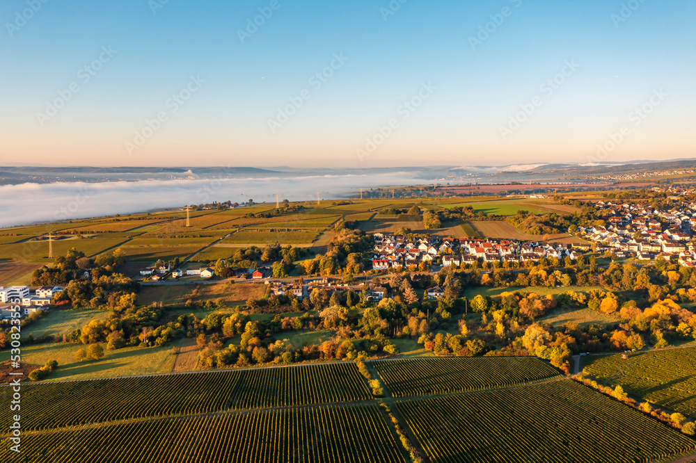 Aerial view of a glorious sunny autumn morning near Eltville/Germany with morning fog over the Rhine
