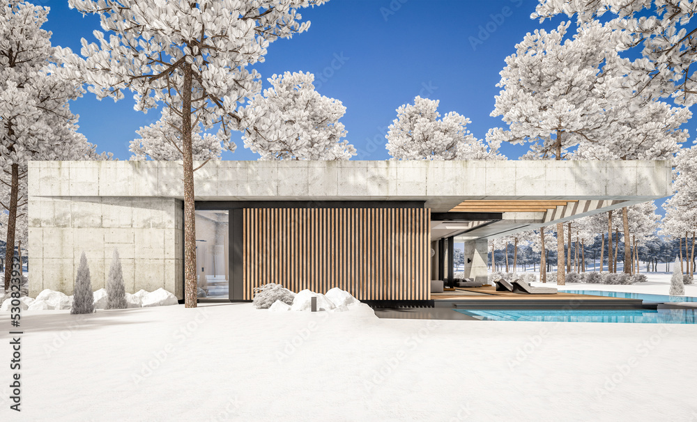 3d rendering of new concrete house in modern style with pool and parking for sale or rent and beautiful landscaping on background. The house has only one floor. Cool winter day with shiny white snow. 3d rendering of new concrete house in modern style with pool and parking for sale or rent and beautiful landscaping on background. The house has only one floor. Cool winter day with shiny white snow.