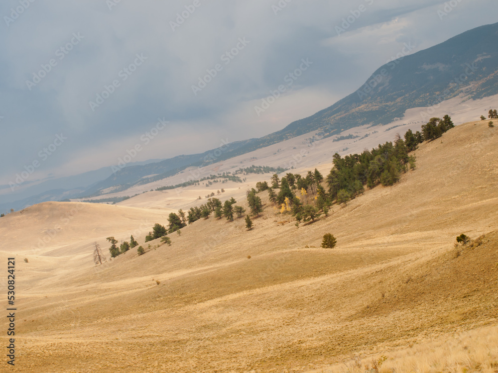 Obraz premium Rolling landscape