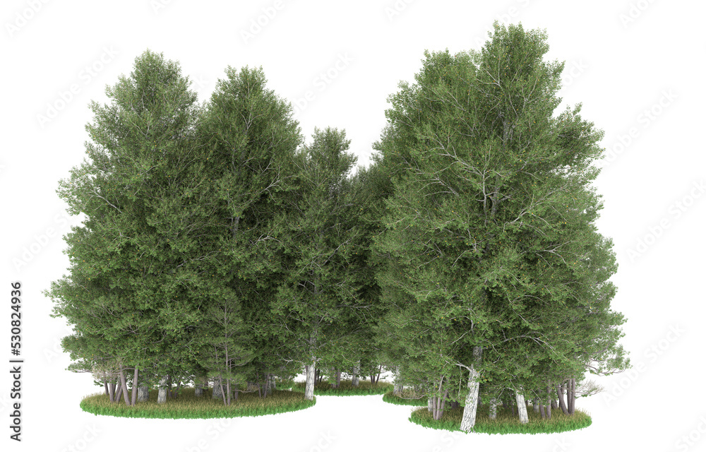 Fototapeta premium Forest on transparent background. 3d rendering - illustration