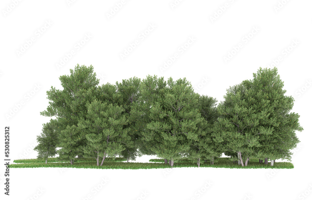 Obraz premium Forest on transparent background. 3d rendering - illustration