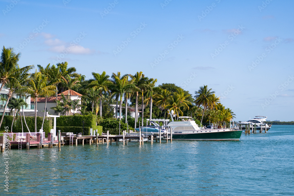 summer skyline landscape with palm trees and yacht