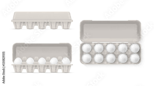 White chicken eggs in open and closed package side top view set realistic vector illustration