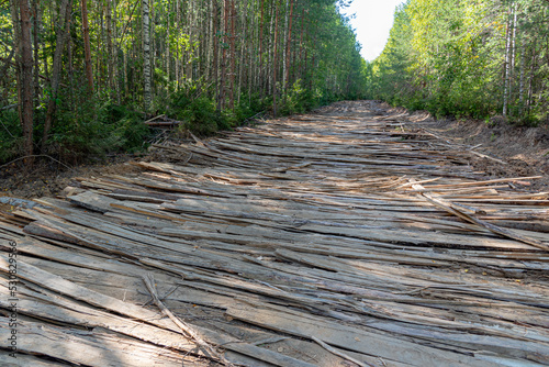 Corduroy road in the woods