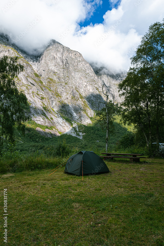 Wild camping, tent on nature Norway mountains with tree in green garden or forest for holiday relax and vacation travel trip to trekking picnic on meadow grass