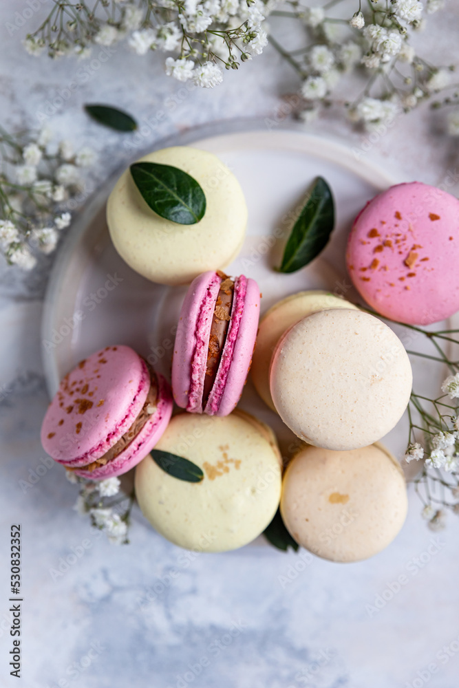 Macaron or macaroon with gypsophila flowers on grey background. Pastel colors french dessert with fresh flowers. Macaron or macaroon with gypsophila flowers on grey background. Pastel colors french dessert with fresh flowers.