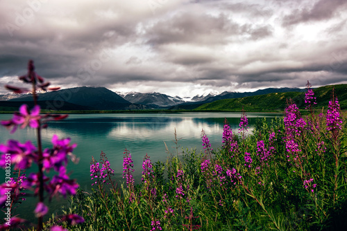 Summit Lake with lupins in front of the south flank of the eastern Alaska Range with the Gulkana Glacier