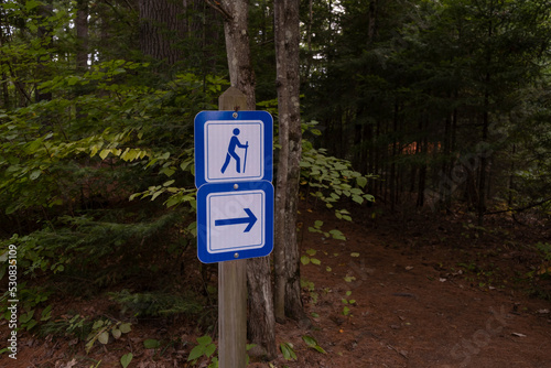 Trail marker on a tree with hiker in the forest, out of focus background. Active lifestyle, hiking, portaging, recreation concept. photo