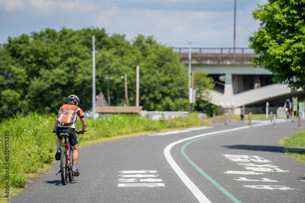Fototapeta premium 強い日差しの下で、サイクリングロードを走る（手賀沼） 