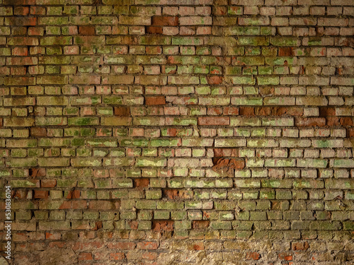 Moldy brick wall of an abandoned building. Moldy crumbling brick wall. Crumbling wall inside a dark abandoned room. Not a seamless texture.