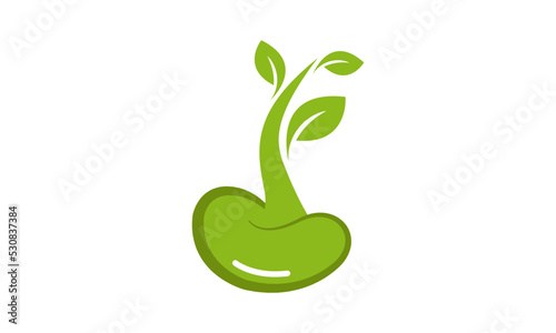 Bean seed leaf nature logo vector image