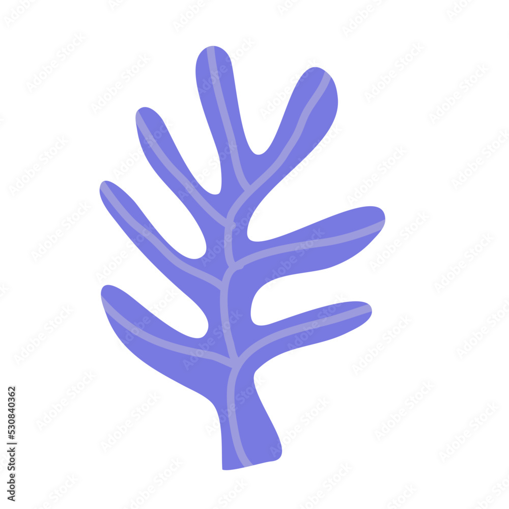 Obraz premium Cactus suculent decoration