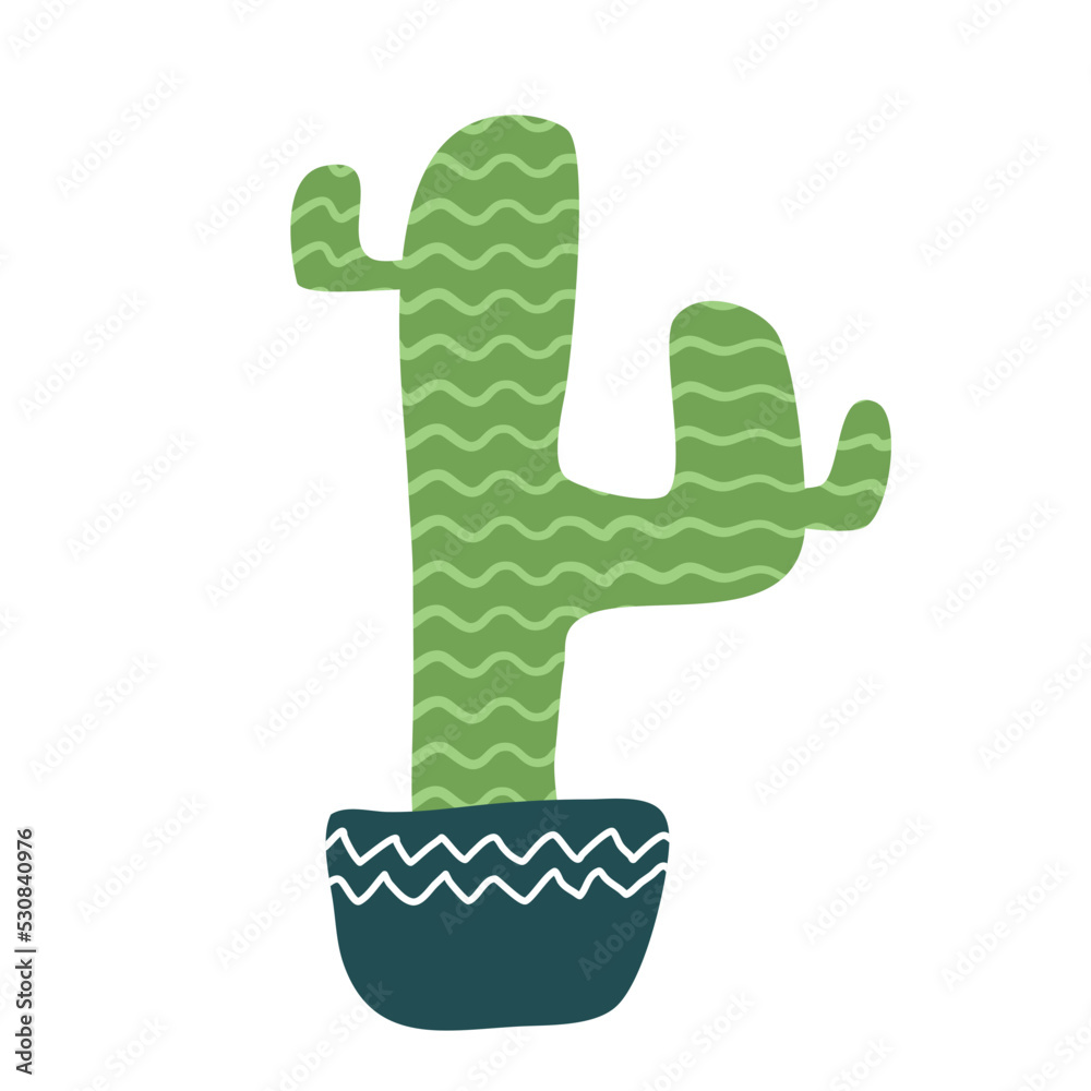 Cactus suculent decoration Cactus suculent decoration