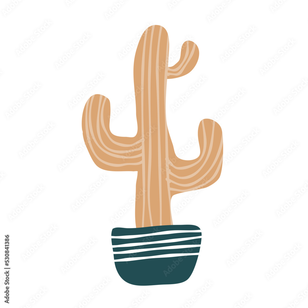 Obraz premium Cactus suculent decoration