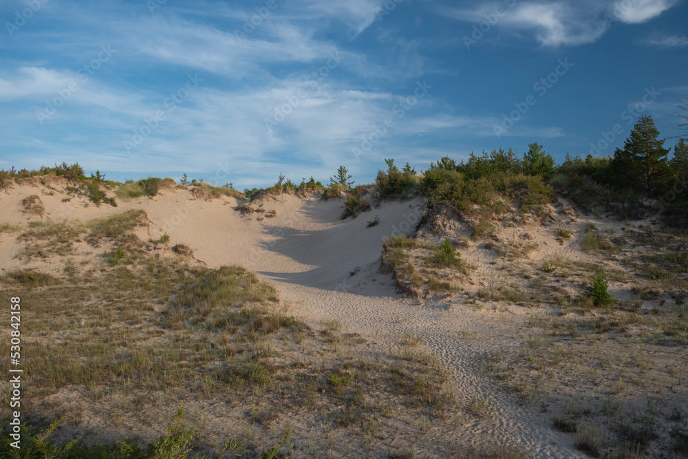 Large sand dunes at Pinery Provincial Park by Lake Huron in Ontario Canada. Sunny day, blue sky. 