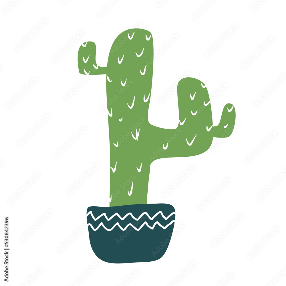 Cactus suculent decoration Cactus suculent decoration