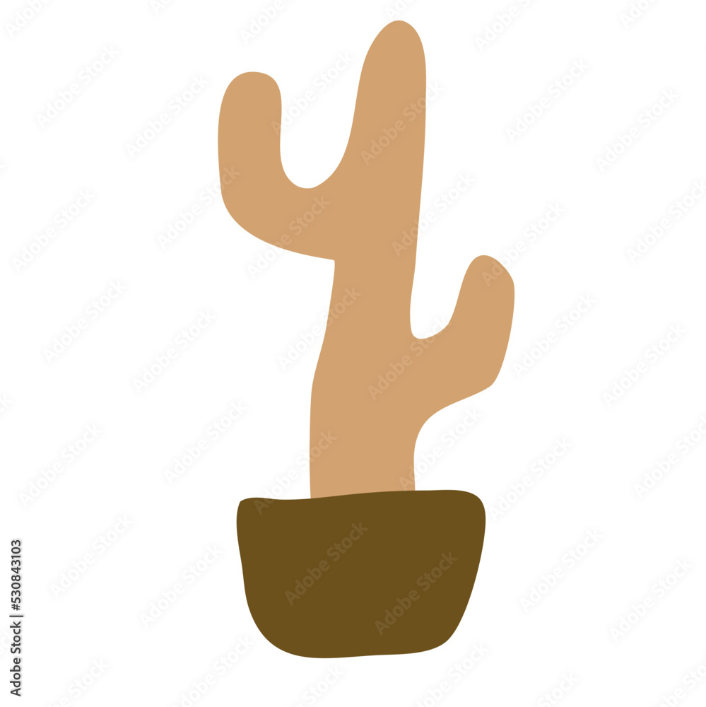 Obraz premium Cactus suculent decoration