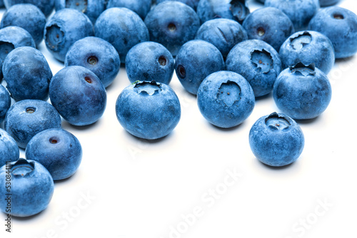 Frisch geerntete Heidelbeeren im Herbst