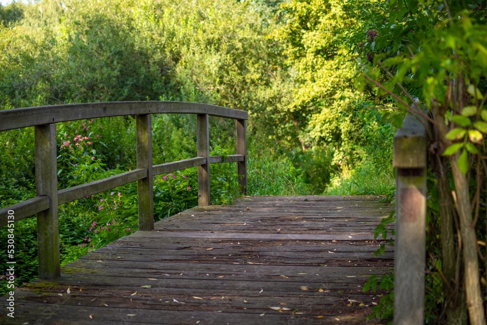 Wooden bridge in the forest over a small stream Wooden bridge in the forest over a small stream