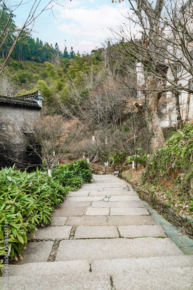 Obraz premium stone path in the park