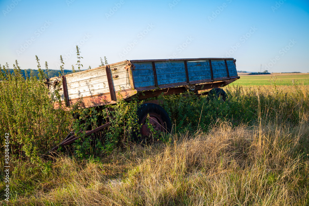 Old farmers trailer overgrown with vegetation in autumn