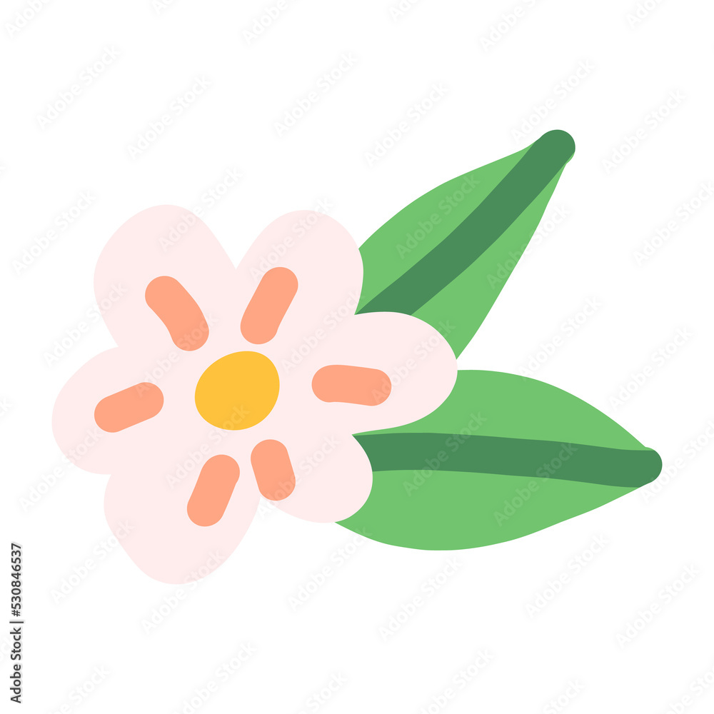 Peach flower, apricot, cherry blooming flower. Floral png cute hand-drawn illustration