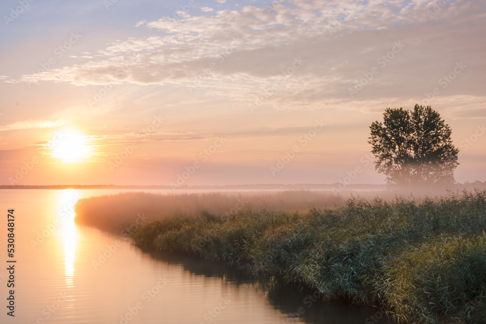 Nebel am Morgen zu Sonnenaufgang an der Küste der Ostsee in Deutschland Nebel am Morgen zu Sonnenaufgang an der Küste der Ostsee in Deutschland