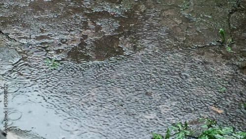Drops of heavy rain drip onto the concrete surface. Green grass in the background. A strong autumn rainstorm