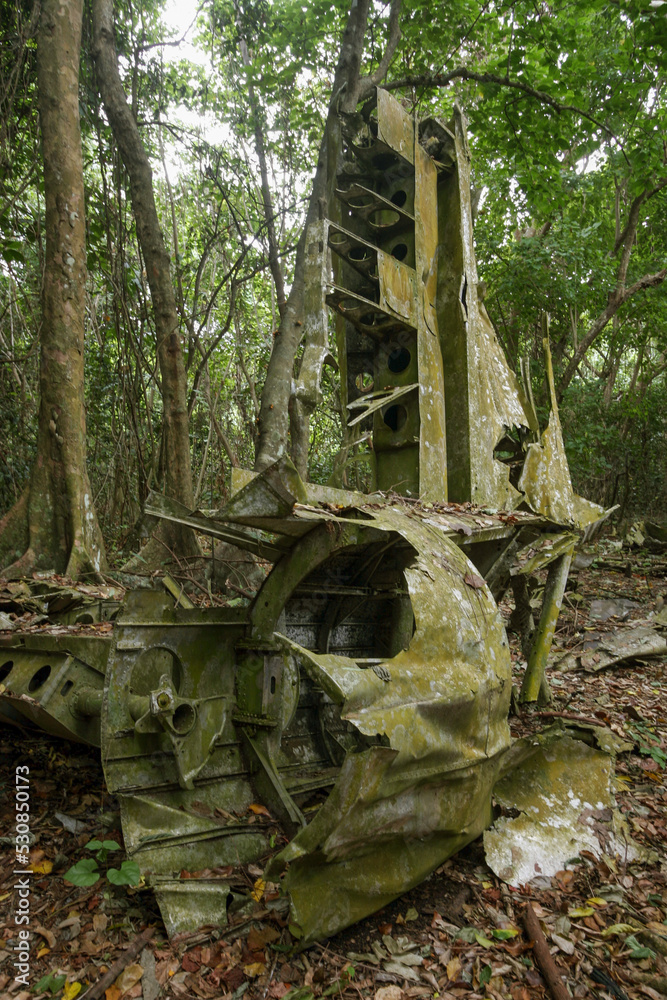 Wreck of a B-17 WWII American bomber plane, crashed in the jungle ...