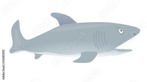 Big grey fish. vector illustration