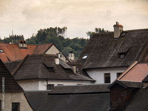 roofs of houses in the village