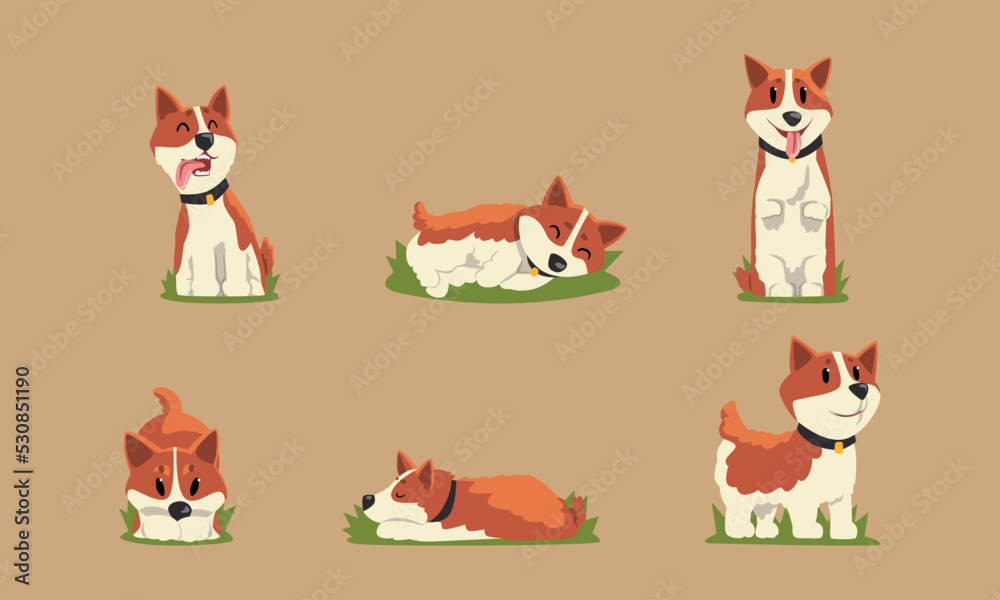 Funny Welsh Corgi Dog with Brown Coat and Collar on Green Grass Vector Set