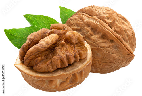Walnuts with leaves isolated
