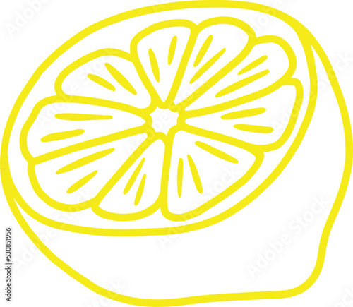 lemon fruit line drawing outline