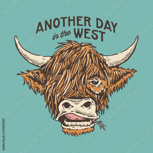 Bull head illustration