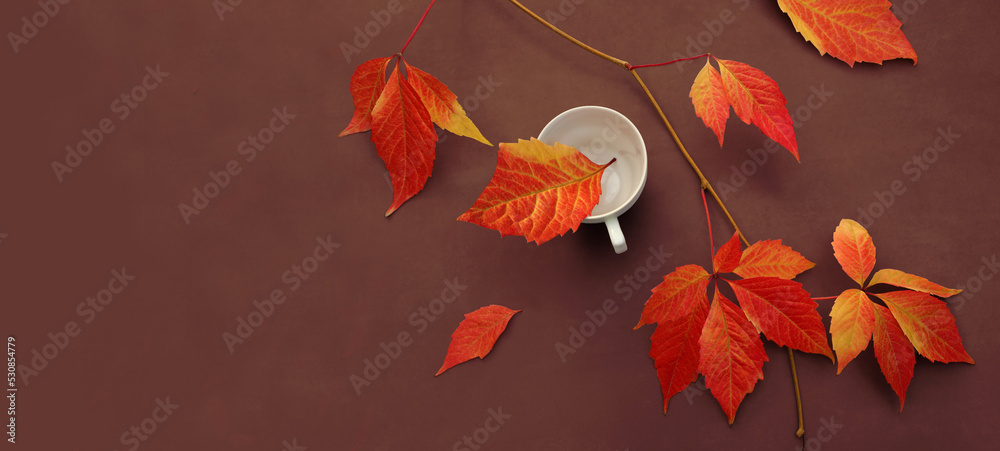 Branch of fallen red leaves with white coffee cup on terracotta background top view with copy space. Flat lay autumn composition for Halloween design or calendar.