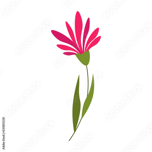 Spring flowers. Floral vector drawing. For use in decor  postcards  flower shops  brochures and covers  prints.