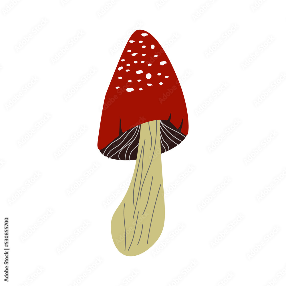 Fly agaric. Vector illustration. For the design of prints, cards, flyers, clothing, packaging, brochures and covers. Fly agaric. Vector illustration. For the design of prints, cards, flyers, clothing, packaging, brochures and covers.