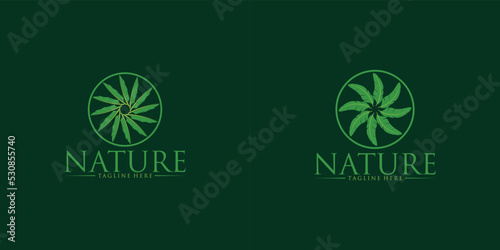 Green banana leaf logo ideas. inspiration logo design. template vector illustration.premium vector