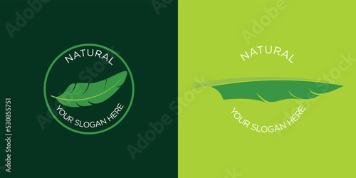 Green banana leaf logo ideas. inspiration logo design. template vector illustration.premium vector