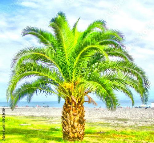 Palm tree on blue sky and white clouds. Watercolor drawing picture