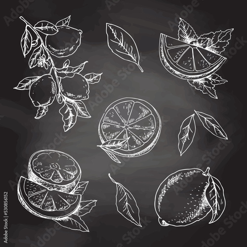 Vector hand drawn lemon set. Whole lemon, sliced pieces, half, leaf and branch sketch. Tropical  fruit engraved style illustration. White sketch isolated on black chalkboard. Icons and elements.