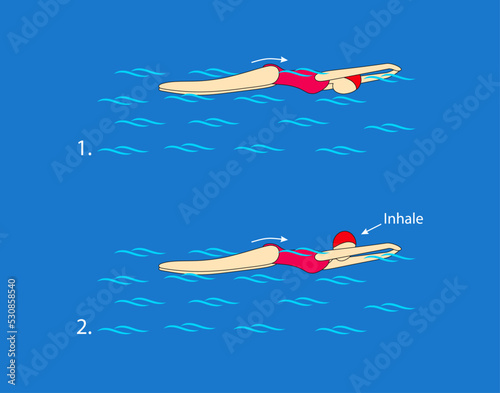 Swim in a butterfly while breathing every other cycle, correctly coordinating the movements of the arms and legs. Swim with high intensity as long as you manage to move your hands above the water.