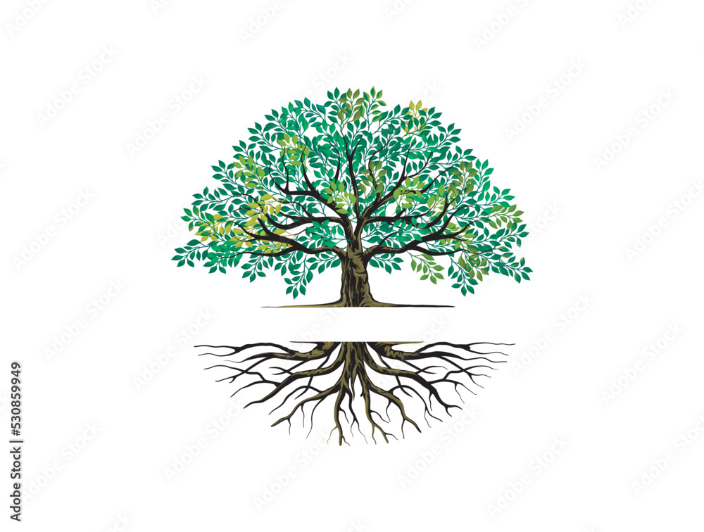 tree and roots logo templates with circular shape, oak tree with the gap between the tree and the root to fill in the writing.