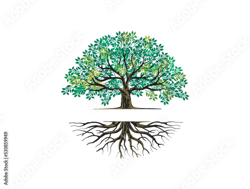 tree and roots logo templates with circular shape, oak tree with the gap between the tree and the root to fill in the writing.