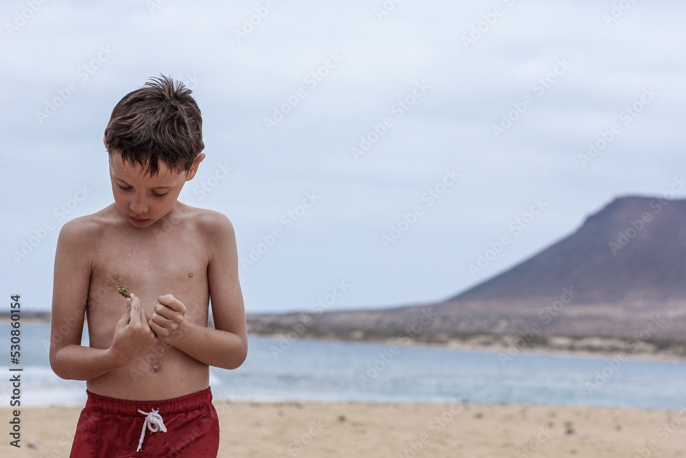 Child on a sandy beach closely examining a seashell. Copy space on the sky.