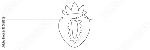 Strawberry continuous one line drawing. Hand drawn linear strawberries with leaf. Vector illustration isolated on white.
