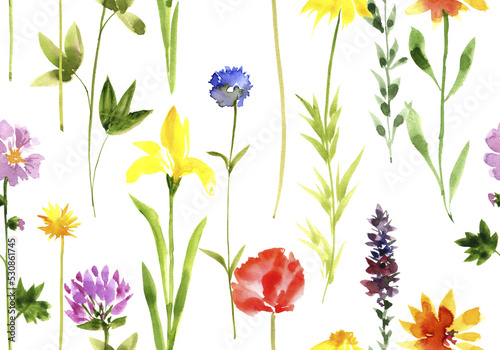 watercolor drawing seamless pattern with wild flowers at white background  hand drawn illustration