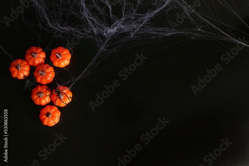 small Beautiful pumpkins and two black small spider in the web on a black background. Creative halloween concept backdrop.