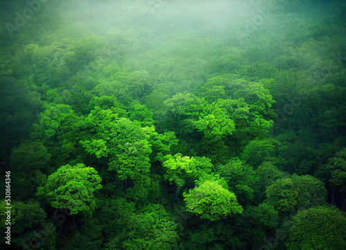 Fototapeta Naklejka Na Ścianę i Meble -  lush green forest with fog